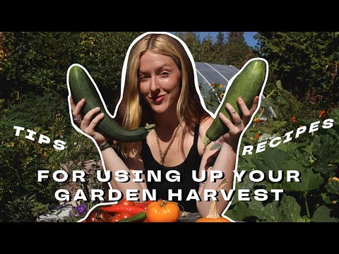 Early Fall Garden Harvest Recipes 🍅🌈🥒