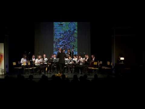 37.MFHTG - Tamburaški orkestar KUD-a Gaj Zagreb - seniorski