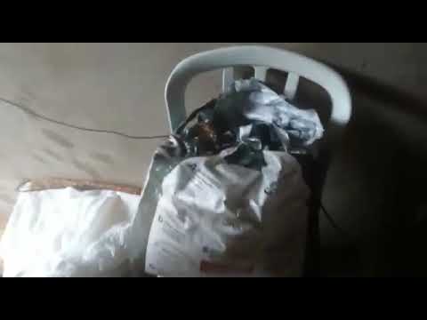 o novo integrante da casa 🐴