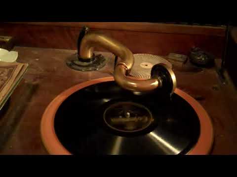 KNICKERBOCKERS  BEN SELVIN VIVA-TONAL - YOU TOLD ME TO GO - ROARING 20's VICTROLA 8 30