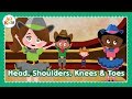 Head Shoulders Knees Toes Kid S Song