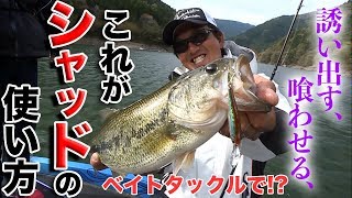 【バス釣り】これがシャッドの使い方！【シャッディング】【SPATT】