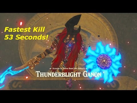 How to Thunderblight Ganon