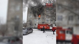 Газовики выжгли хату, сгубили котов