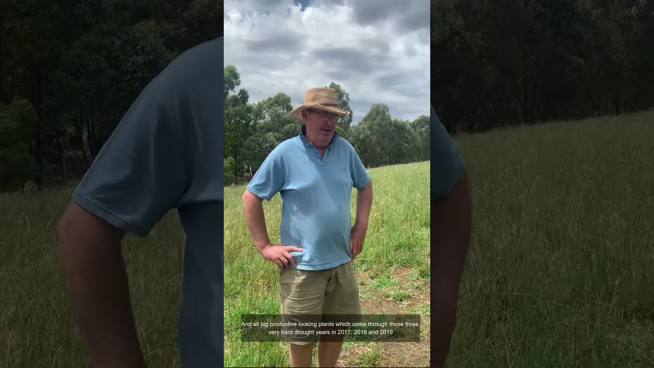 Testing Tropicals PDS - Hills Park