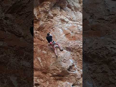 Sicily - Crown of Aragon - All cats are black at night 7b