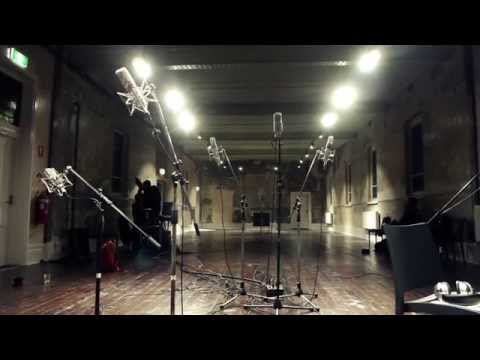 ANIMUS mayfair kytes string recording