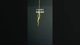 #釣り #フィッシング #海 #ウナギ釣り #釣りガール