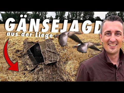 🧳 The first time in the goose bed. - Goose hunt in Nienburg