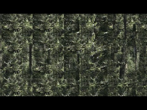 Wolfgang Voigt - Werkschau (english)