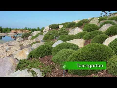 Lausitzer Findlingspark Nochten bei Boxberg - Einmalig in Europa.