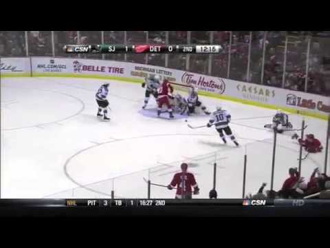 2013 San Jose Sharks Season Recap "The Rollercoaster"