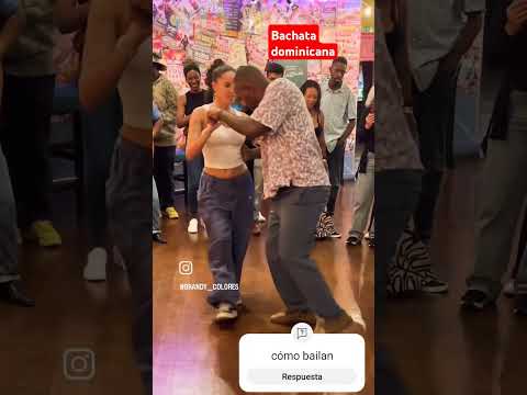 bailando bachata dominicana #bachata #gatos #viral