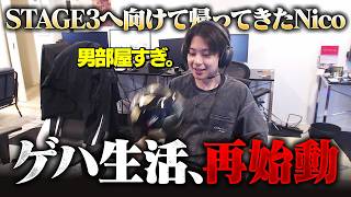 【ただいま】懐かしの部屋から久しぶりのトレーサー無双を魅せるNico【オーバーウォッチ/OW】