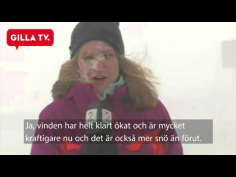 Se reportern rapportera live - trots värsta snöovädret