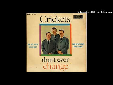 The Crickets - Don't Cha Know