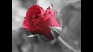 Download lagu Ehna hanjuan da ki karye.mp4 mp3