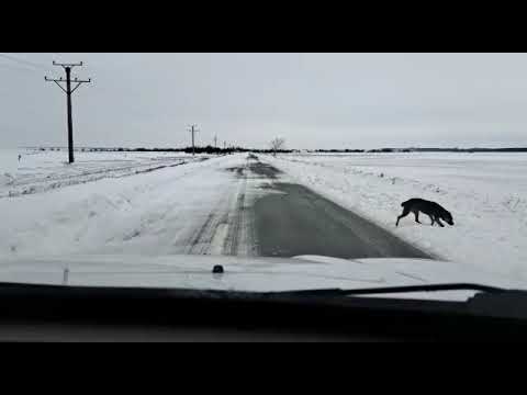 DN 2N Bogza -Dumbraveni km 8-15, deschis circulației