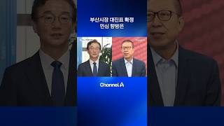 부산시장 대진표 확정…민심 향방은 #dlab #뉴스A #채널A