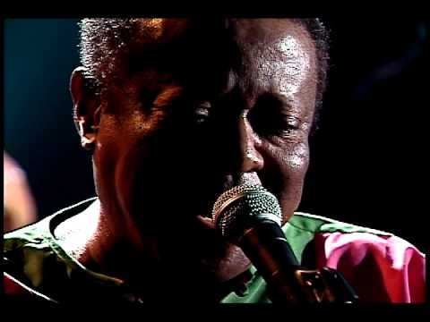 "Jequitibá", por Tantinho da Mangueira