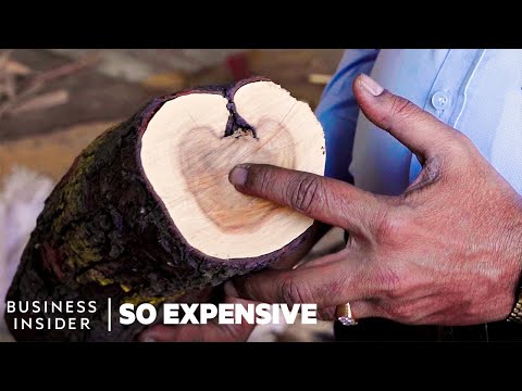 , title : 'Why Sandalwood Is So Expensive | So Expensive'