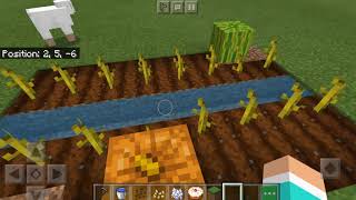 How to grow pumpkins and melons in minecraft