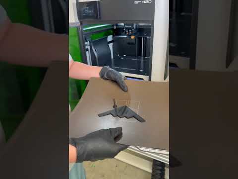 I 3D Printed a B2 Stealth Bomber… And It’s INSANE! | Mini But Mighty. #b2 #b2spirit #stealthbomber