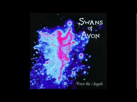 SWANS OF AVON - Kingdom