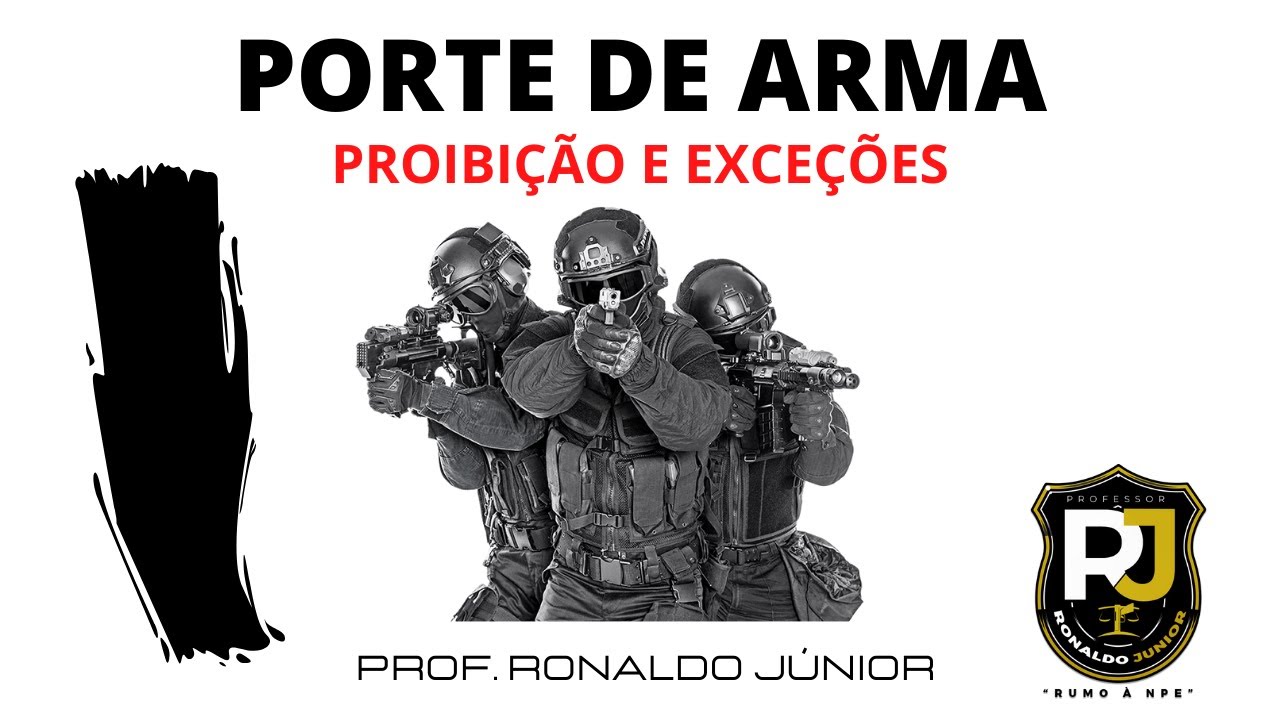 PORTE DE ARMA NA LEI Nº 10.826/03