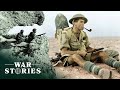 The North African Campaign: The Dangerous Conditions Of Desert Warfare | Battlezone | War Stories