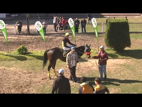 CARRERAS SINT PAYSANDU 220811 c05 1° GRAN CELESTE