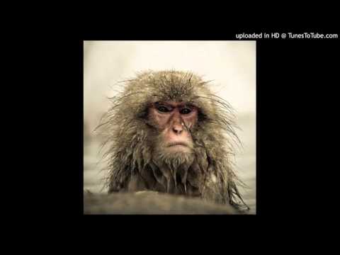 Today's Tango Is... El Monito - Ángel Dominguez 04-05-1955