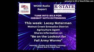 Fall Army Worms - Lacey Noterman