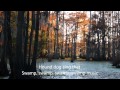 Swamp Music Lynyrd Skynyrd 1974