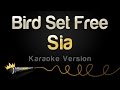 Sia - Bird Set Free (Karaoke Version)