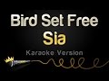Sia Bird Set Free Karaoke Version