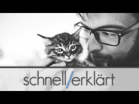 Tiere & Menschen [schnell/erklärt] Tierrechte & Tierschutz