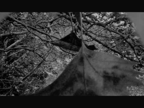 Video thumbnail for Woodwind