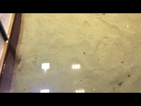 会計学科 水族館 木村勝則滋賀県高島市！