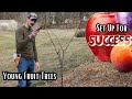 How To Prune Young Fruit Trees Apple Peach Plum