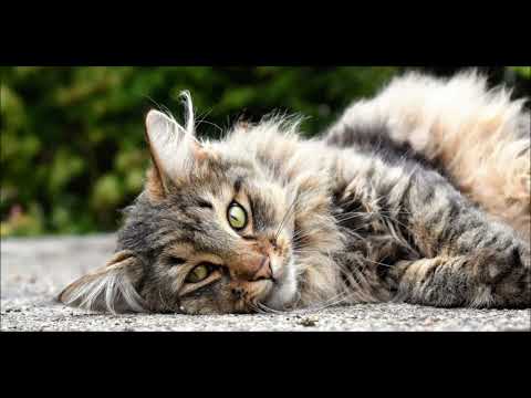 Uk Happy Hardcore 2022 mix  Ben Journiee