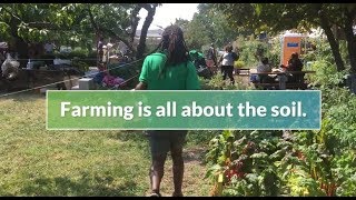 ioby 2017: Changing the Soil