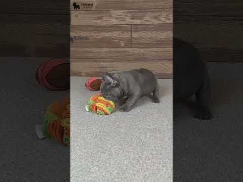 Video 2