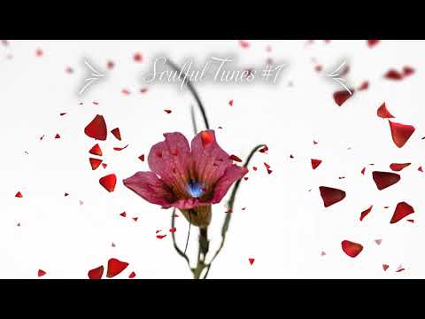 Soulful Tunes House Mix #1 (113 BPM)