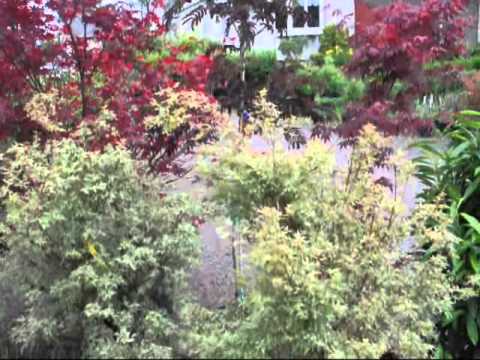 download lagu mp3 mp4 Laurel Leaf Willow Problems, download lagu Laurel Leaf Willow Problems gratis, unduh video klip Laurel Leaf Willow Problems