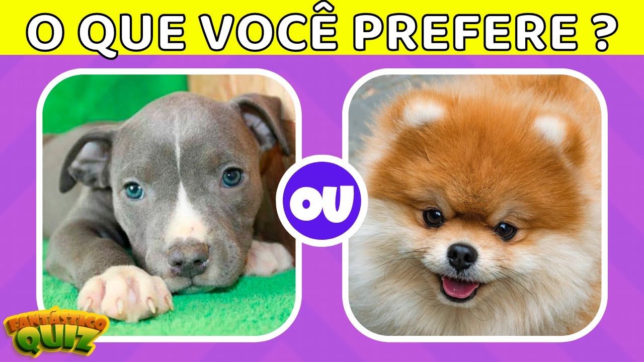 O QUE VOCÊ PREFERE? PITBULL OU SPITZ ALEMÃO? Jogo das Escolhas -   Edição Cachorros