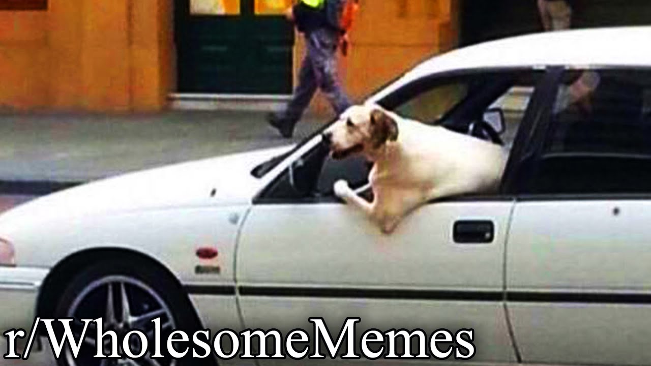 r/WholesomeMemes | can I get uhhhhh