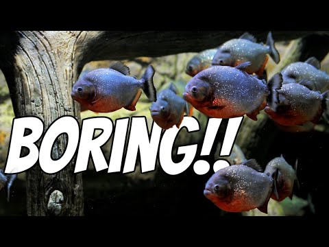 Someone's Gotta Say It