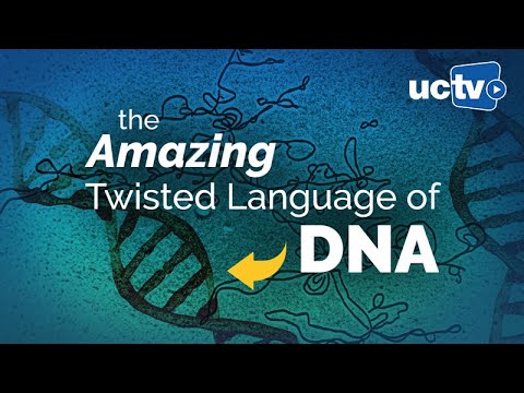 Genes Communicate Through Twisting: The Story of Supercoiling in DNA