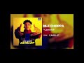 NLE Choppa Camelot Clean